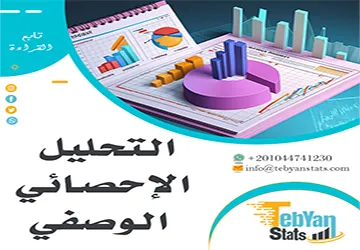 ما هو التحليل الإحصائي الوصفي؟ شرح مبسط مع مثال تطبيقي