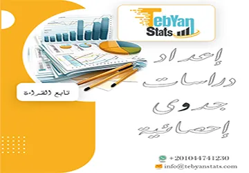 دليل إعداد دراسات جدوى إحصائية الشامل من تبيان بدقة 100%
