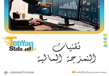ما هي تقنيات النمذجة المالية؟ شرح مع أمثلة تطبيقية