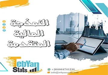 النمذجة المالية المتقدمة | كيف تبني نموذجًا ماليًا من الصفر؟